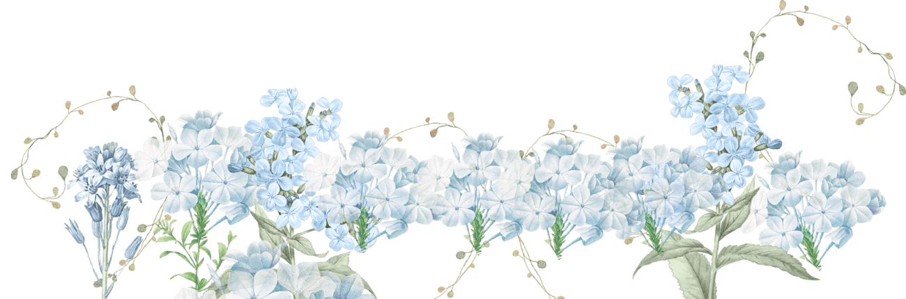 flower middle (2).png